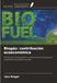 Biogás: OmniScriptum SRL Biogás: contribución ecoeconómica Paperback