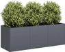Maison Exclusive - Pot de fleurs anthracite, 120 x 40 x 40 cm, en acier laminé à froid