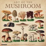 Willow Creek Press Art of the Mushroom 2027 12 X 12 Wall Calendar
