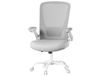 JOYFURNOS Chaise de bureau ergonomique pivotante en mesh, accoudoirs pliants, gris clair
