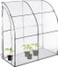 Relaxdays Kweekkas met deur - Staal/PVC - 215 x 200 x 100 cm - Transparant/Zwart