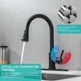 geen merk / Grohe Keukenkraan in Zwart RVS