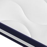 vidaXL Matras Eénpersoons/Volledige grootte High density foam mattress Zwart, Blauw, Wit 90x200 cm