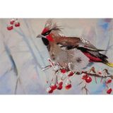 PANNA Waxwing Cross Stitch Kit, meerkleurig, 17 x 11,5 cm