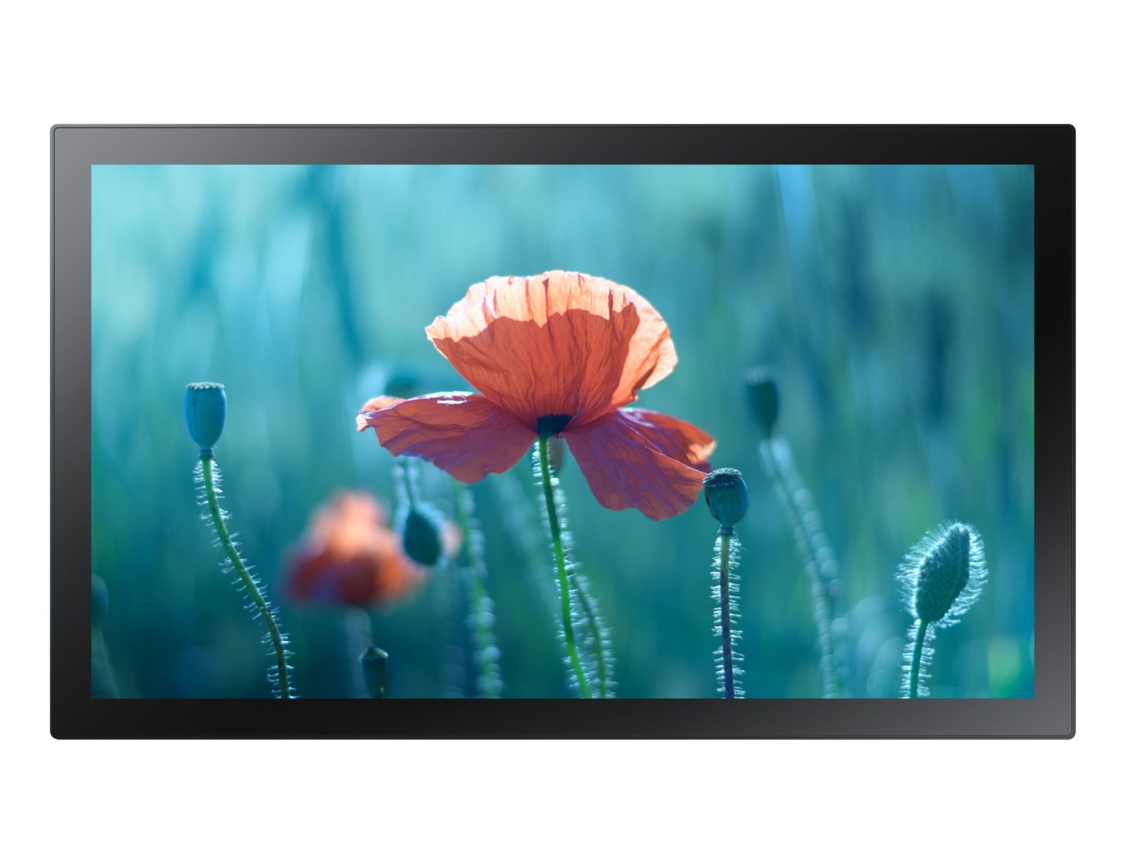 Samsung QB13R-T - 13" Signage Display - Full HD - Black