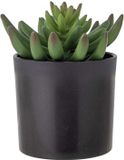 Bloomingville Kunstplant Echeveria Plant