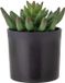 Bloomingville Kunstplant Echeveria Plant