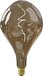 Calex Organic Evo XXL Natural LED Lamp - E27 - Filament - 6W - Warm White - Dimmable