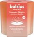 Bolsius Buitenkaars Summer Nights Ivoor - 8 cm / ø 9 cm