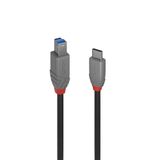 LINDY 36668 USB-kabel USB 3.2 Gen1 USB-C stekker, USB-B stekker 3.00 m Zwart