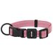 Best Pet Supplies Voyager Reflective Dog Leash or Collar with Neoprene Handle, for Small, Medium, and Large Breed Puppies, Cute and Heavy Duty for Walking, Running and Training - Pink, S