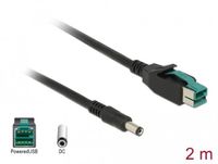 Delock PoweredUSB kabel male 12 V > DC 5.5 x 2.1 mm male 2 m