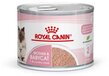 Royal Canin Mother & Babycat Mousse - Kattenvoer - 12 x 195 g