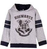 HARRY POTTER - Hoodie - Grijs - Katoen Geborsteld - 8 Jaar