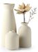 Set de 3 Petites Vases en Céramique pour Décoration Florale
