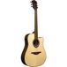 LAG Guitars Tramontane HyVibe 20 Glossy E/A westerngitaar met ingebouwd multi-effect en bluetooth