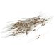 TRU COMPONENTS 1584855 TC-CFR0W4J0121KIT203 Résistance à couche de carbone 120 Ω Axial câblé 0207 0.25 W 5 % 100 pièce(s) Boîte