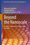 Beyond Springer Nature Lecture Notes in Nanoscale Science and Technology 50: Beyond the Nanoscale