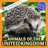 Animals of the United Kingdom: A My Incredible World Picture Book for Children