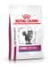 Royal Canin Veterinary Diet Renal Special - Kattenvoer - 2 kg