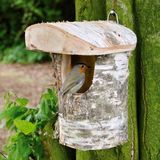 CJ Wildlife Nestkast - Stockholm - Halfopen - Houten Vogelhuisje