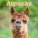 Avonside Alpaca Kalender 2027 Wandkalender