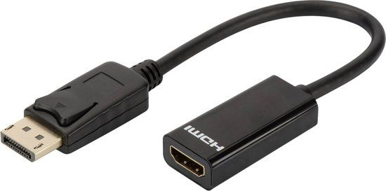DLH DY-TU4664B Displayport naar HDMI Adapterkabel 0.23m Zwart