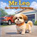 Mr. Leo The Garage Supervisor