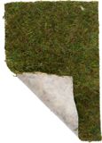 Hobby Terrano mosdecoratie 100 g veenmos op vlies voor terrarium