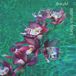 Deep Zappo Deep Sea Vents LP