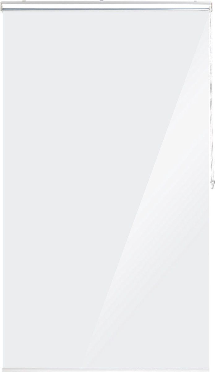 Relaxdays Douchegordijn Rolgordijn Transparant - 120x240cm - PVC
