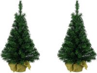 Decoris Everlands Imperial pine mini kerstboom - 2x - groen - H35 cm - in zak - kunstboom
