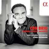 Outhere Irish Chamber Orchestra Widmann, Strauss & Beethoven: Con Brio (CD)