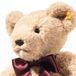 Steiff Cosy Year bear 2027 333 beige.