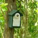 CJ Wildlife Nestkast - Sevilla - Groen