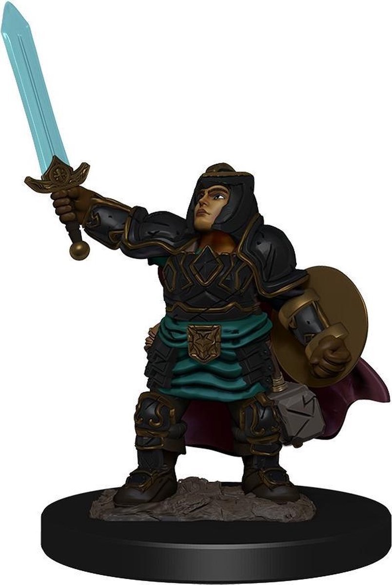 WizKids Dungeons and Dragons: Icons of the Realms - Dwarf Paladin Female Merchandise