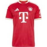 adidas Performance Senior FC Bayern München voetbalshirt