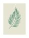 Komar Wandfoto - Winter Tropics Black Panther Palm Leaf - 30 x 40 cm