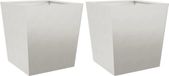 vidaXL Plantenbakken - 2 stuks - 50x50x50 cm - Roestvrij staal