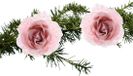 Decoris décoration de Noël rose - 2x pièces - sur clip - rose poudré - D14 cm - plastique