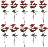 Merkloos / Sans marque Koopman International 10x Rode Kerstster bloem 66 cm