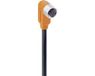 Belden 934703032-1 Sensor/actuator connector, geassembleerd M12 Aantal polen: 8 Bus, haaks 5.00 m 1 stuk(s)