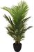 Merkloos / Sans marque Kunstplant Goudpalm - groen - 94 cm - in pot - kamerplant - nepplant - Palm - Palmbomen - Goudpalmen voor binnen