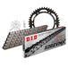 Kettingset DID Kettingset staal 520ZVM-X / 110 klinknagel slot voor Suzuki DR S SH SE 350 cc bj. 1994-1995