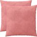 vidaXL Kussensloop 2 stuks Roze 65 x 65 cm Fluweel