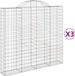 vidaXL Gabions - 3 pièces - voûté - 200x50x180/200 cm - fer