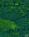 Komar Pure Feathers Fotobehang op Vlies 200x250cm