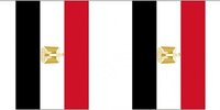 2x Egypt Flag Outdoor Garland 3m - Party Decoration