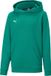 PUMA kinderteamGOAL 23 Casuals hoody sweatshirt pullover 656711 groen