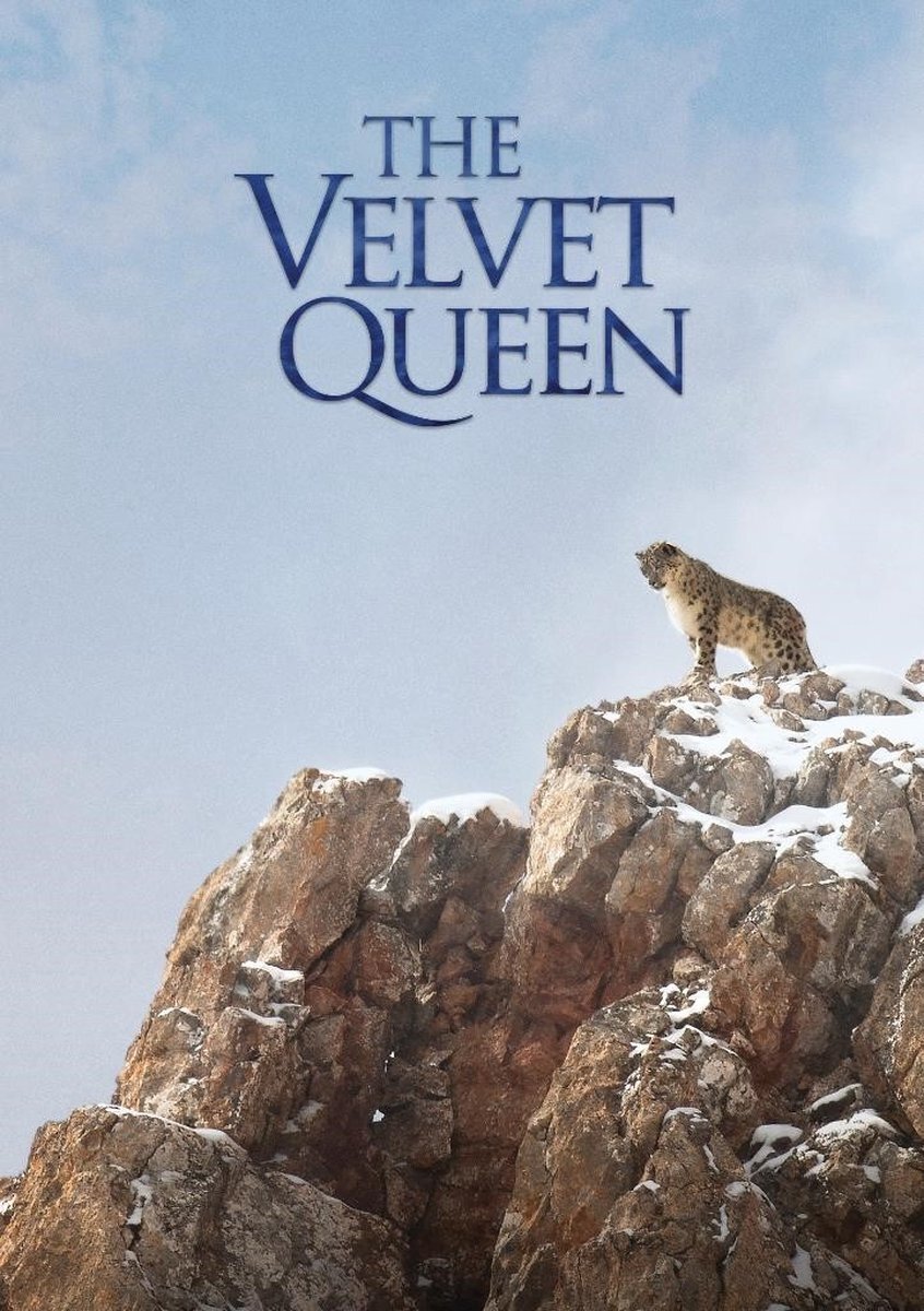 PIAS Nederland The Velvet Queen (DVD)